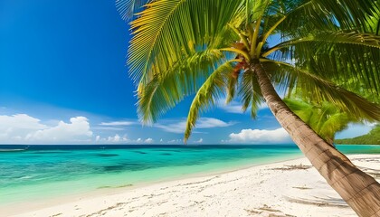 Obraz premium Tropical Paradise: A Palm-Fringed Beach Under a Clear Blue Sky