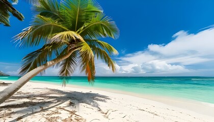 Fototapeta premium Tropical Paradise: A Palm-Fringed Beach Under a Clear Blue Sky