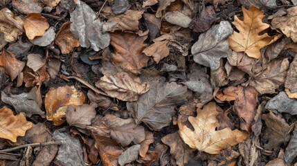 Fototapeta premium Camouflage Background