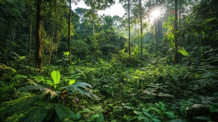 Fototapeta premium Dense forest regeneration teeming with plant life, diverse wildlife, and morning sunlight filtering through a rejuvenated canopy