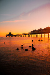 Seebrücke Heringsdorf, Usedom,Ostsee, Kaiserbäder, Deutschland.