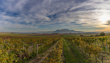 Naklejka premium Autumn landscape with vineyard and view of Palava and Musov lake in Czech Republic. Dramatic clouds in the sky.