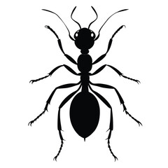  An Ant silhouette vector with a white background