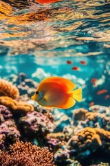 Obraz premium Tropical fish in vibrant coral reef, clear waters, sunlight creating vivid reflections, ocean life, burst of color