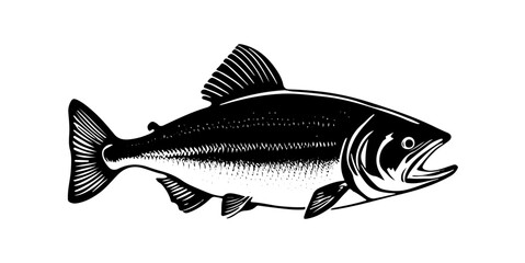 Fish Vector Art & Illustration