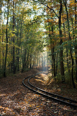 Narrow-gauge railway tracks in the autumn forest
