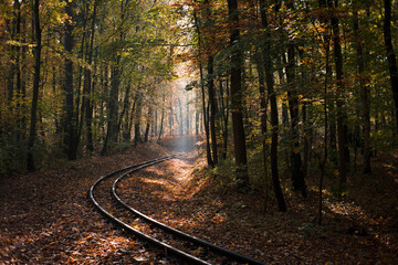 Obraz premium Narrow-gauge railway tracks in the autumn forest 