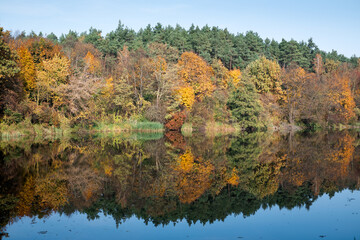 Autumn forest and lake with mirror reflection
