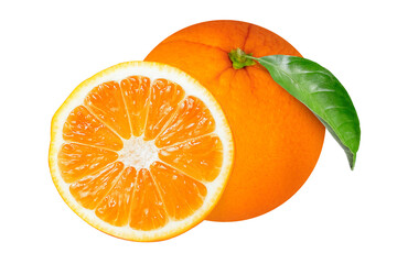 Oranges on isolated white background.