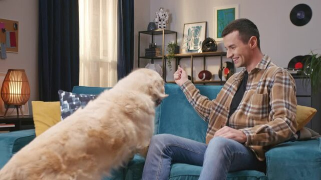 Portrait of man feeds his lovely cute fluffy dog from hands sitting on couch at cozy home. Male owner playing with pet. Friendship with pets and domestic life, cute moments, relaxing, carefree.