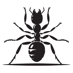  An Ant silhouette vector with a white background
