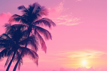 Landscape photo of tropical beach with a palm tree. Exotic summer destination as amazing beautiful panorama wallpaper.