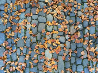 stone wall texture background