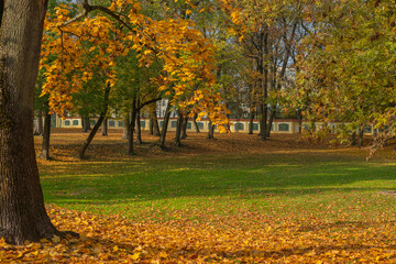 Autumn landscape in Białystok Park - Planty