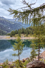 Fontana Bianca lake in Val d'Ultimo.