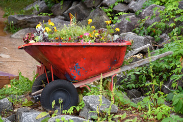 Barrow Filled With Flowers