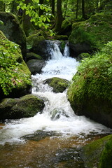 Gertelbachfaelle im Schwarzwald