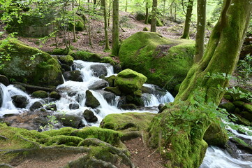 Gertelbachfaelle im Schwarzwald
