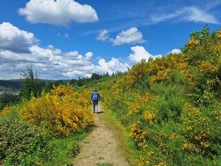 Wanderer bei Kirchen an der Sieg