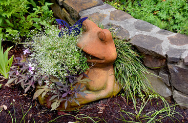 Frog Planter Overflowing With Plants