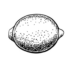Lemon. Vector graphic illustration of a citrus fruit. A black and white hand-drawn image. On a white background. Great for menus, labels, posters with cooking recipes, stickers, postcards, packages.