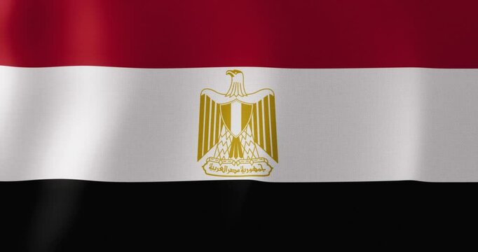 Egyptian Flag Waving in the Wind - National Flag of Egypt in 3D Animation Video
