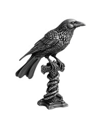 Fototapeta premium Isolated PNG of Gothic Raven Art