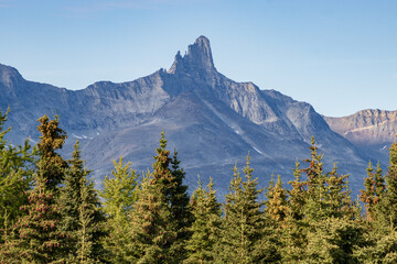 Fototapeta premium View of the surrounding area (fjord, mountain, forest...) of Kuusuaq camp near Tasiusaq (South Greenland)
