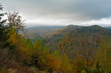Obraz premium Thuringian Forest near Bad Tabarz in autumn