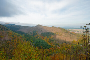 Thuringian Forest near Bad Tabarz in autumn