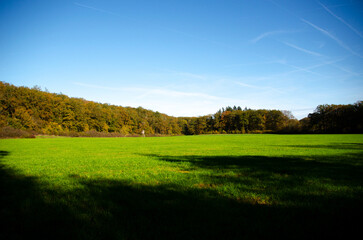 field and sky