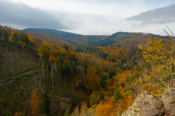 Thuringian Forest near Bad Tabarz in autumn