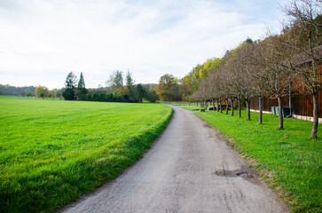 road in the village