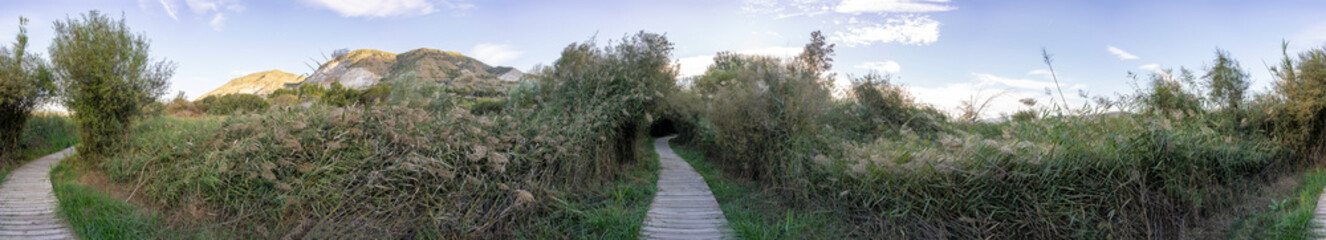 A beautiful and scenic wooden pathway winding through lush greenery and majestic mountains