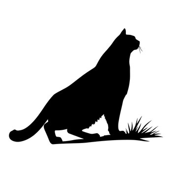recommend clip art: bobcat silhouette vector illustration White Background. Generative AI