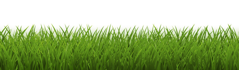 Obraz premium Green Grass Border With Isolated White