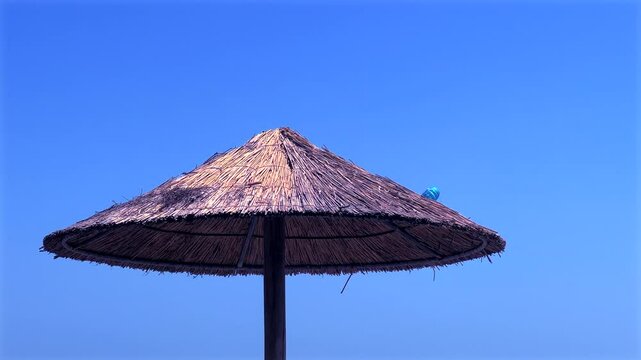 Tropical style sunshades and parasailing fun on beach holiday