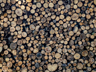 Unterstand mit frisch gestapelten Brennholz