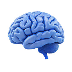 3D illustration of a blue human brain.