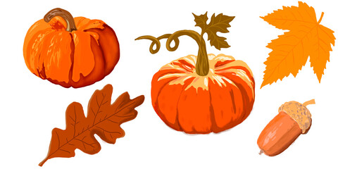 pumpkin and leaves