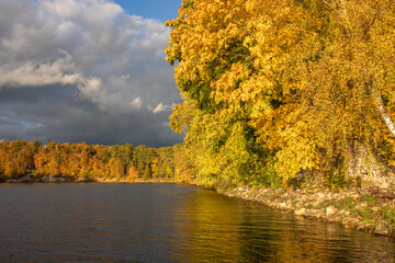 autumn landscape with trees