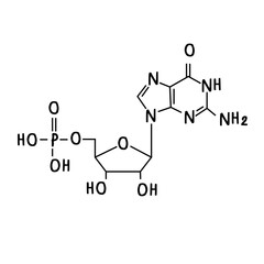 chemical structure of Guanosine monophosphate.svg