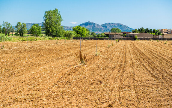 From Palau Sator to Peratallada walking through the field