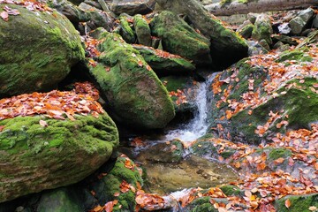 White Gorge (Bílá strž) National Nature Reserve extends at the area of 79,2 hectares at the altitude 735-1086 m. It is a romantic valley with highest Sumava waterfall. Czech natural monument.