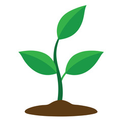 Vector Illustration of Young Plants on a White Background 