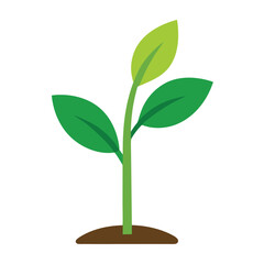 Vector Illustration of Young Plants on a White Background 