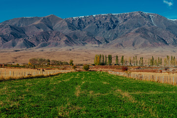 Beautiful landscape with agricultural green field on mountains background in autumn