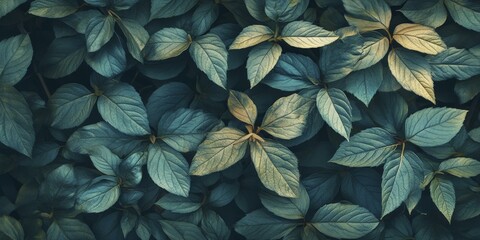 Green Leaves Texture Background - Nature Photography