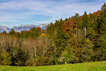 Automne dans le massif des Bauges, Haute-Savoie, France