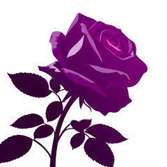 rose with leaves silhouette vector illustration white background. Generative AI